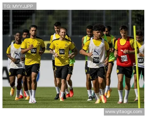 域堡对阵尼克宾精彩比分揭晓比赛亮点与战术分析一览