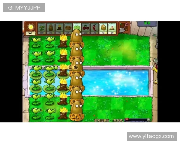 大阪七福神与东京电击的巅峰对决谁能笑到最后